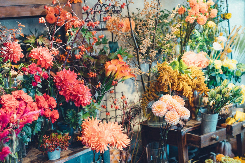 ル・ベスベの店内に並ぶ秋色の花々