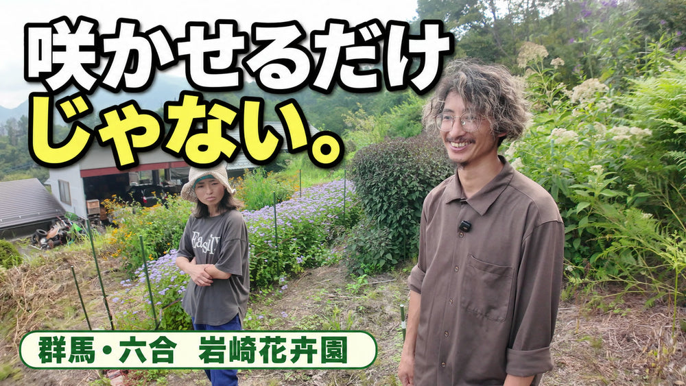 岩﨑花卉園｜草花農家の工夫と挑戦／配信済み限定動画｜24分05秒