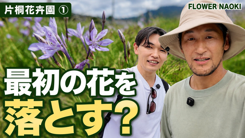 信州片桐花卉園①｜花の「切りどき」を学ぶ／配信済み限定動画｜18分30秒