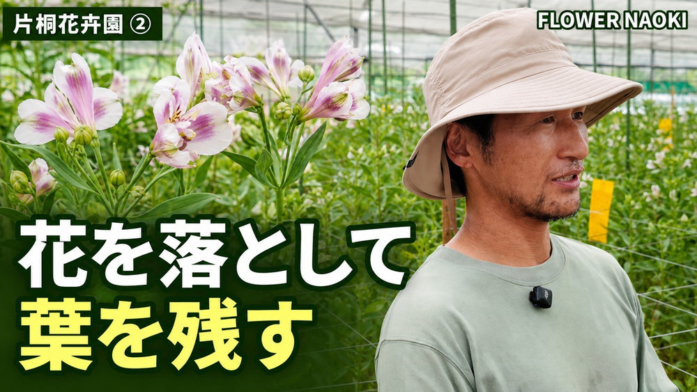 信州片桐花卉園②｜夏は花を落として、葉を残す／配信済み限定動画｜19分58秒