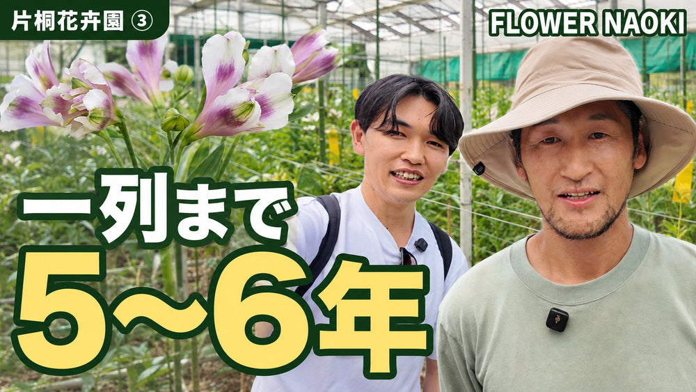 信州片桐花卉園③｜一列に増やすまで5〜6年／配信済み限定動画｜21分20秒