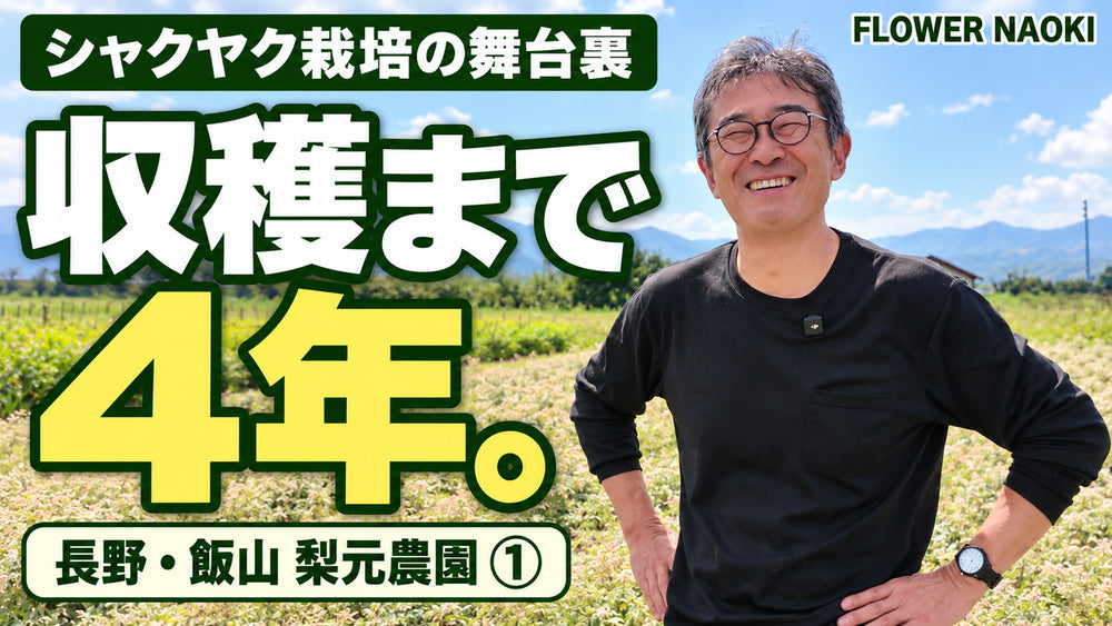 梨元農園①｜収穫まで4年。シャクヤクの舞台裏／配信済み限定動画｜16分19秒